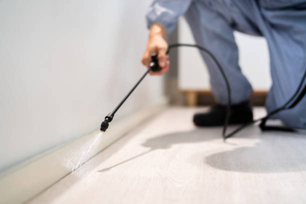 Licensed Mosquito Control service in New Albany, MS - Show Me Pest Control