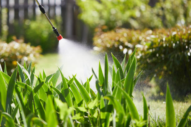 24/7 Emergency Mosquito Control experts in New Albany, MS