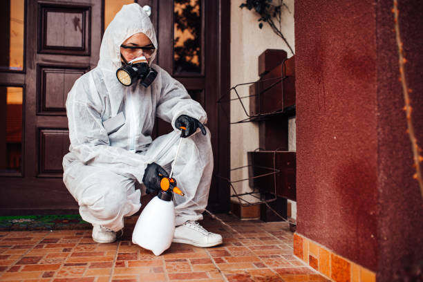 Reliable Mosquito Control contractor in New Albany, MS by Show Me Pest Control