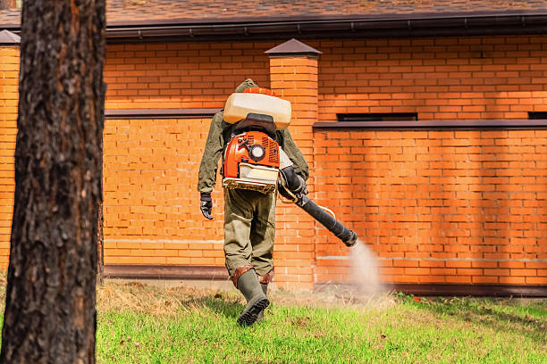 Top rated local Mosquito Control specialists in New Albany, MS